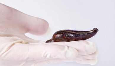 leech cream to increase a member