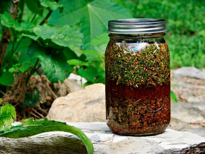 A decoction of wormwood will help increase the size of a man's penis