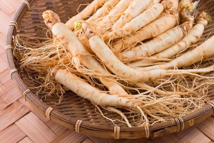 Ginseng root for preparing a tincture that stimulates blood circulation in the tissues of the penis