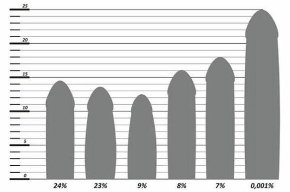 Penile size statistics