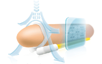 The principle of the extender for stretching the phallus in length